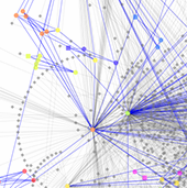 a biological network in Cytoscape